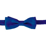 Mens Bow Tie, Pretied Banded - Royal Blue