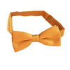 Mens Bow Tie, Pre-tied Banded - Cornflower Yellow